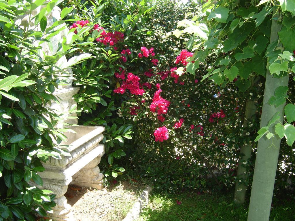 B&B Villa Fantasia กาเอตา ภายนอก รูปภาพ